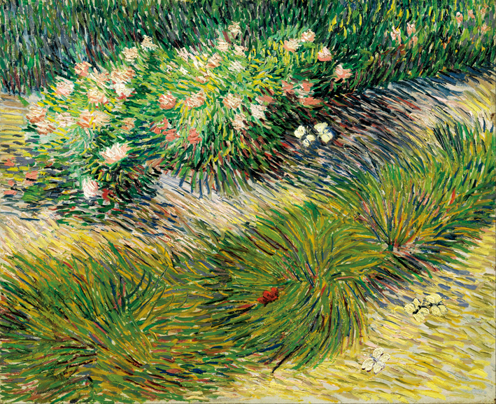  文森特·威廉·梵高  Vincent Willen Van Gogh —— 草丛中的蝴蝶(May 1887 - July 1887)